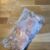 Cuisses de poulets sous vide